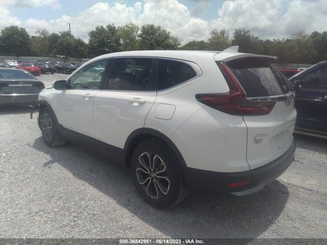 Honda CR-V EX 2020 7FARW1H52LE000491 Image 3