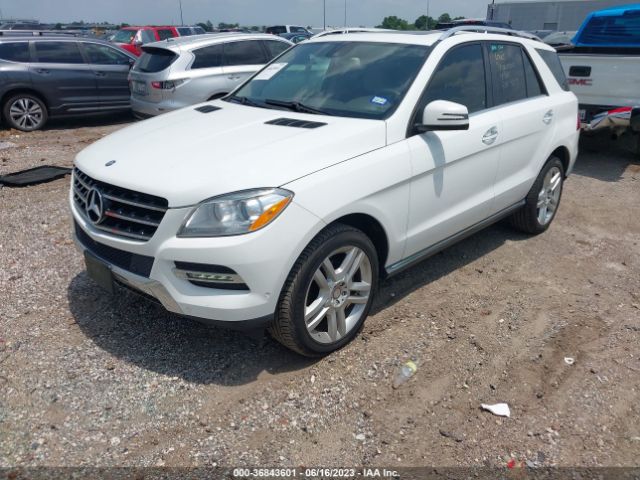4JGDA5JB2EA388681 Mercedes-Benz M-class Ml 350