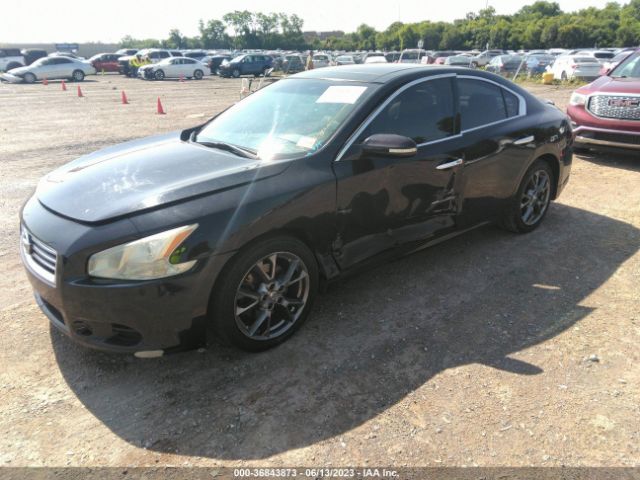 1N4AA5APXEC499783 Nissan Maxima 3.5 Sv W/premium Pkg