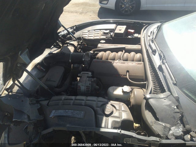 2004 CHEVROLET CORVETTE VIN: 1G1YY22G045101431