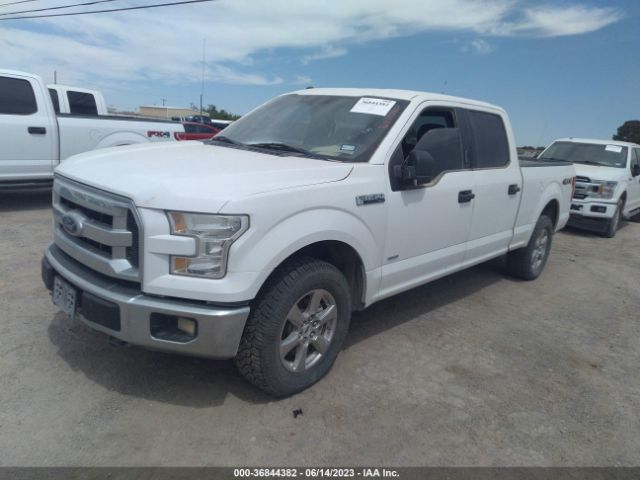 1FTFW1EG2GKE49084 Ford F-150 Xlt/xl/lariat/platinum
