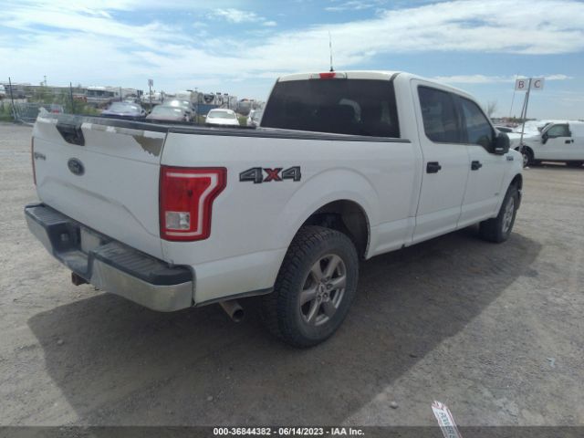 1FTFW1EG2GKE49084 Ford F-150 Xlt/xl/lariat/platinum