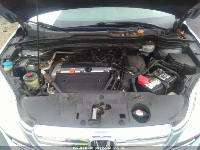 2009 HONDA CR-V EX-L VIN: 5J6RE38729L019814