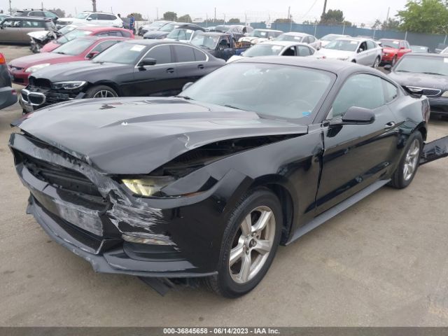 1FA6P8AM8F5338754 Ford Mustang V6