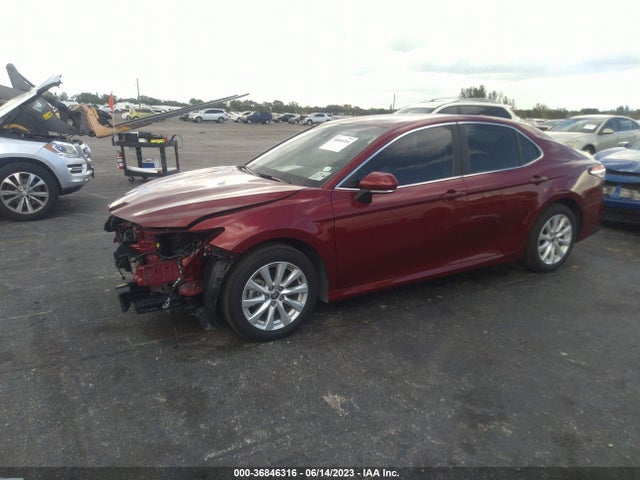 2020 TOYOTA CAMRY LE VIN: 4T1L11BK8LU010993