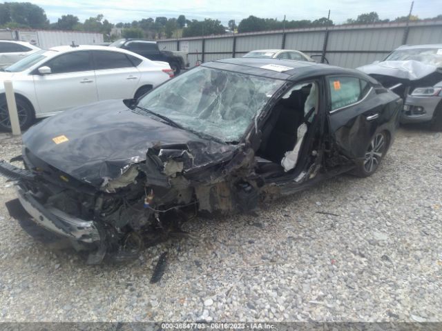 1N4AA6DV7LC376911 Nissan MAXIMA SL