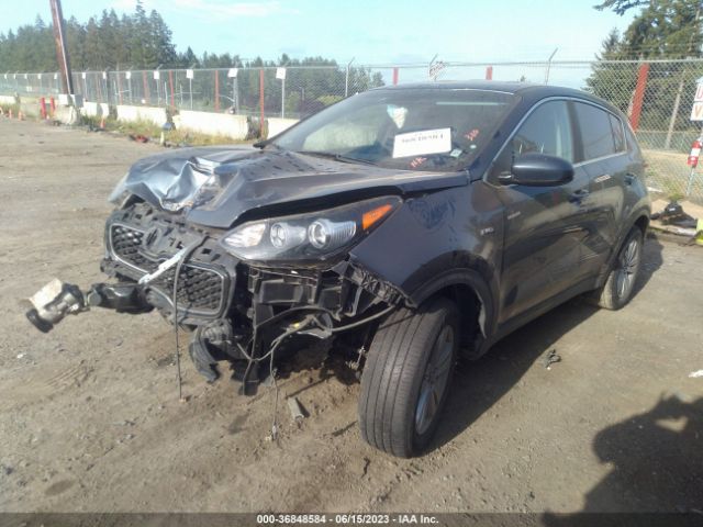KNDPMCAC7H7276577 KIA Sportage Lx