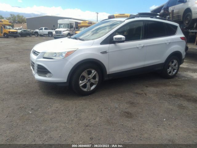 1FMCU0GX7FUA09358 Ford ESCAPE SE