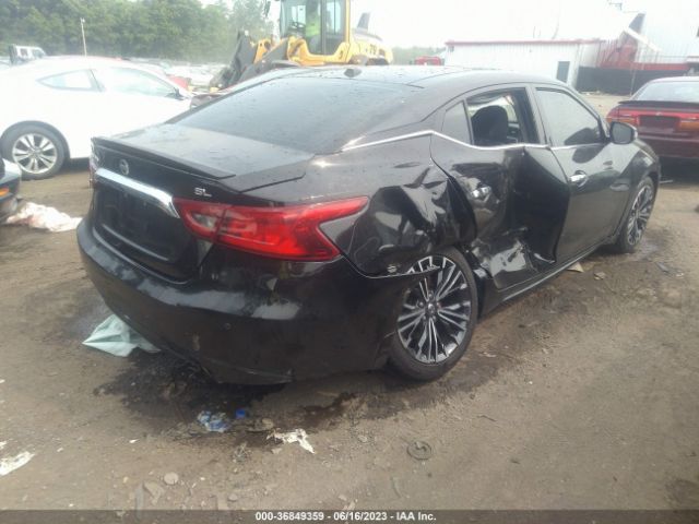 1N4AA6APXGC448776 Nissan Maxima 3.5 Sl
