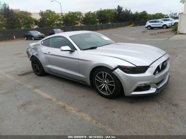 2016 1FA6P8TH0G5221249 main image