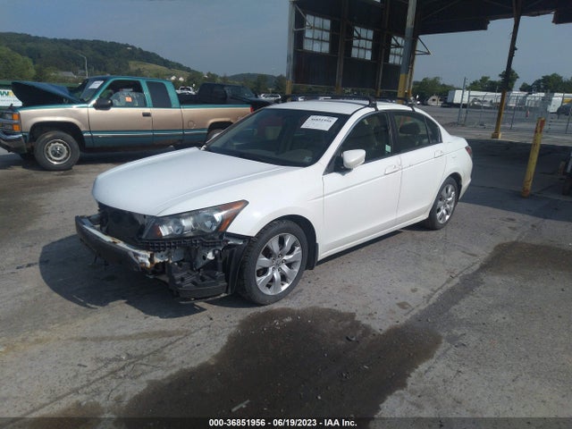 2010 HONDA ACCORD SDN LX-P VIN: 1HGCP2F40AA093906
