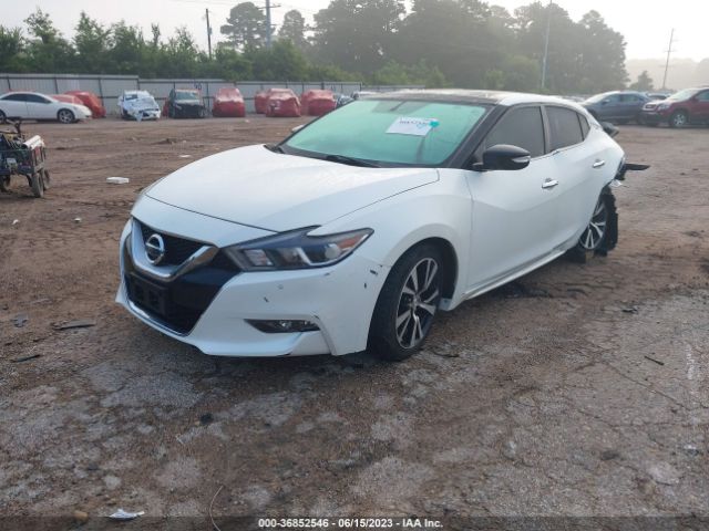 1N4AA6AP9HC444719 Nissan MAXIMA SL