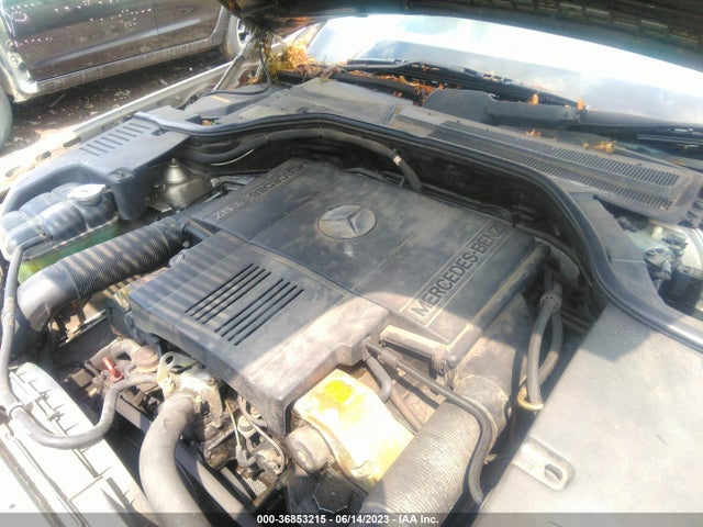 1997 MERCEDES-BENZ S CLASS VIN: WDBGA51G5VA333878