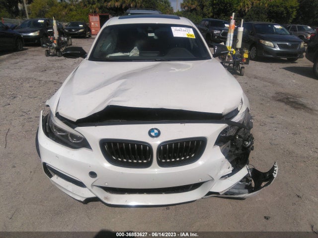 2018 BMW 2 Series, VIN: WBA2J7C50JVB28569