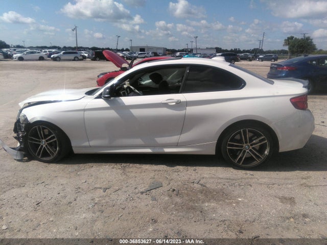 2018 BMW 2 Series, VIN: WBA2J7C50JVB28569