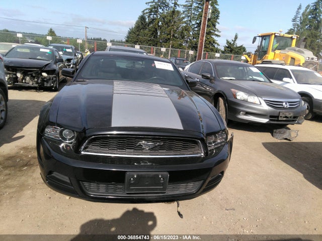 Ford Mustang V6 2014 1ZVBP8AM5E5275620 Image 4