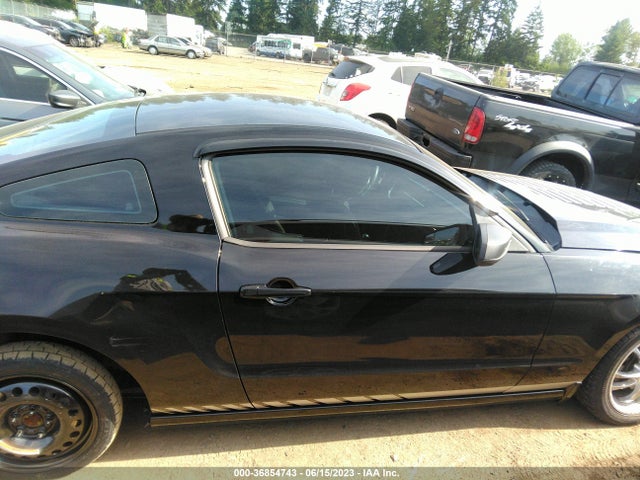 Ford Mustang V6 2014 1ZVBP8AM5E5275620 Image 5