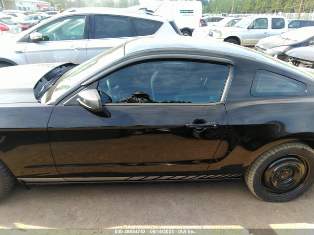 Ford Mustang V6 2014 1ZVBP8AM5E5275620 Image 6