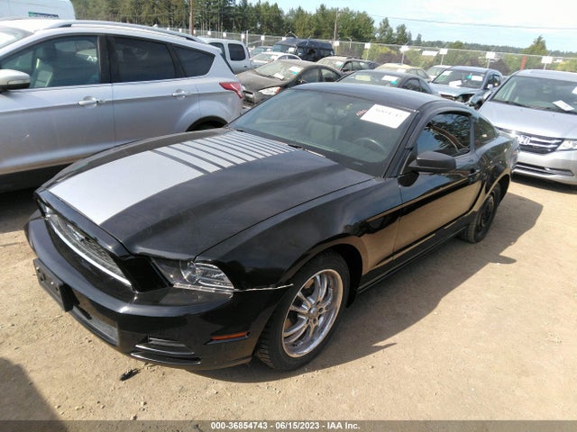 Ford Mustang V6 2014 1ZVBP8AM5E5275620 Image 2