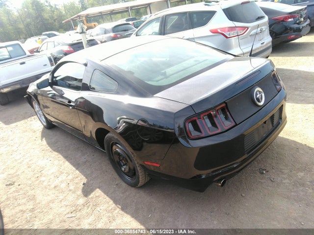 Ford Mustang V6 2014 1ZVBP8AM5E5275620 Image 9