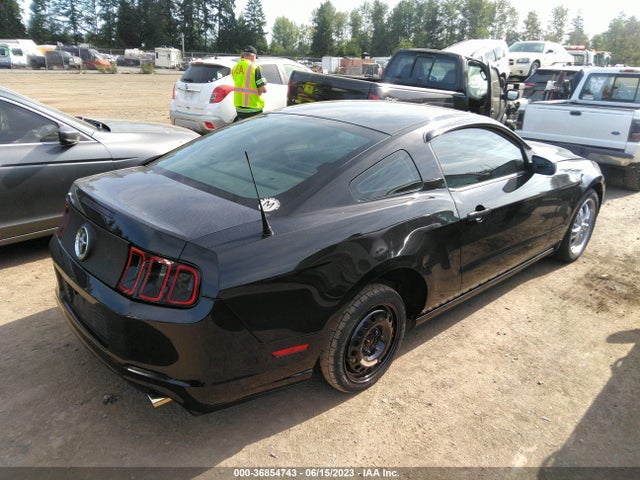 Ford Mustang V6 2014 1ZVBP8AM5E5275620 Image 10