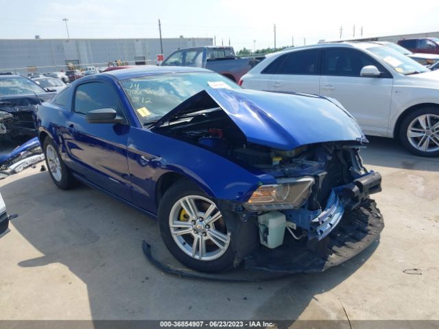 1ZVBP8AM6E5332133 auction archive image