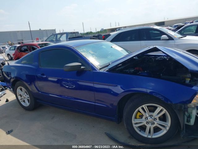 1ZVBP8AM6E5332133 Ford Mustang V6