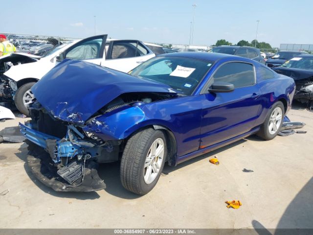1ZVBP8AM6E5332133 Ford Mustang V6