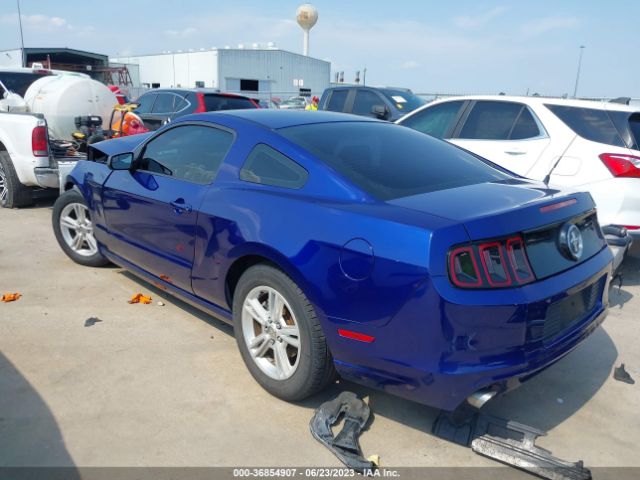 1ZVBP8AM6E5332133 Ford Mustang V6