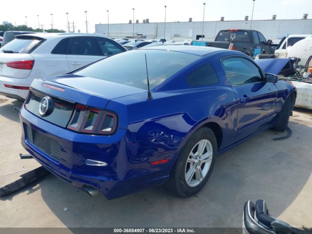 1ZVBP8AM6E5332133 Ford Mustang V6