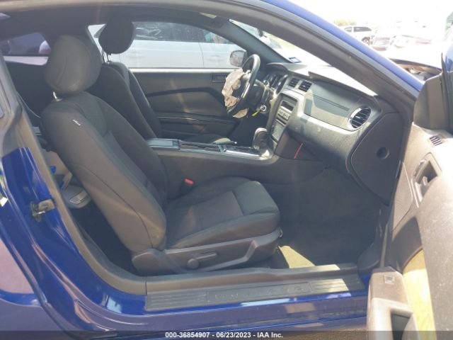 1ZVBP8AM6E5332133 Ford Mustang V6