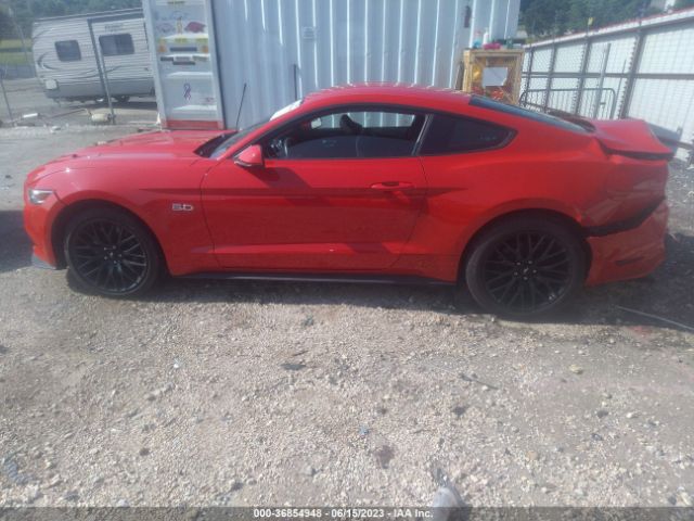 1FA6P8CF1G5306681 Ford MUSTANG GT