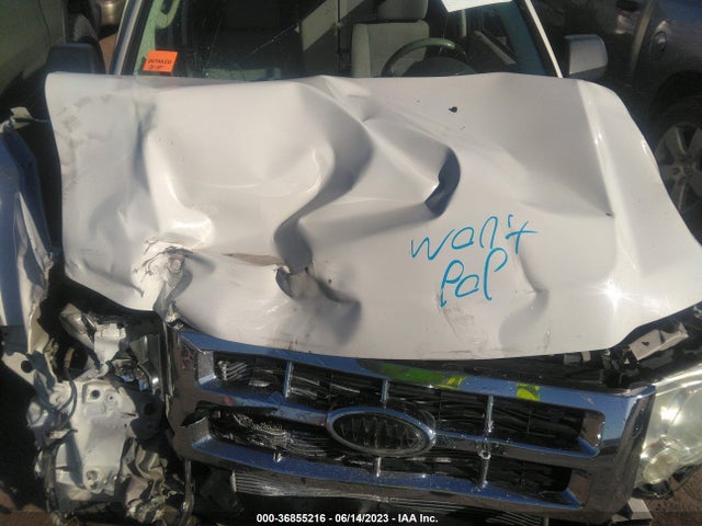 2010 FORD ESCAPE XLT VIN: 1FMCU9D71AKD44158
