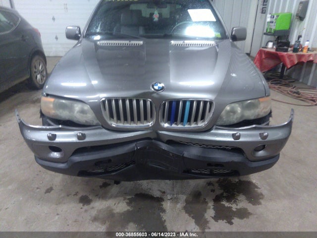2004 BMW X5 4.4I VIN: 5UXFB53504LV07489