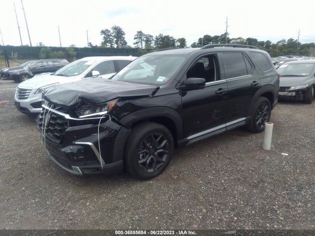 2023 Honda Pilot, VIN: 5FNYG1H81PB027945
