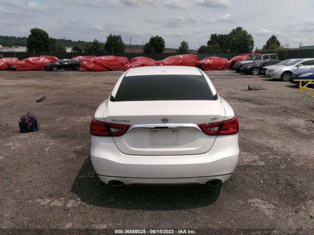 1N4AA6AP0JC371777 Nissan MAXIMA SV