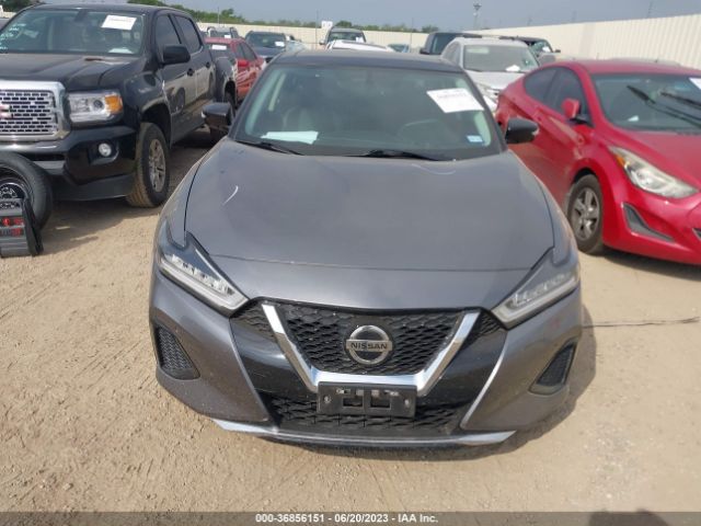 1N4AA6AVXKC369065 Nissan MAXIMA SL