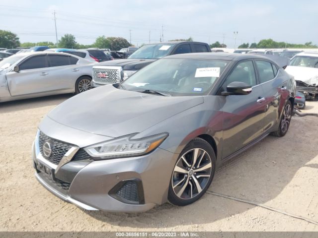 1N4AA6AVXKC369065 Nissan MAXIMA SL