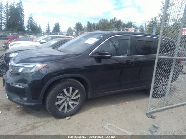 Honda Pilot Ex-l 2019 5FNYF6H52KB070575 Image 6