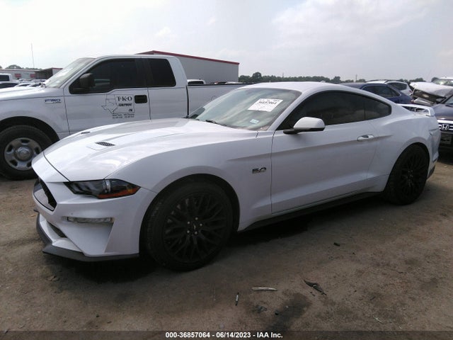 2020 FORD MUSTANG GT VIN: 1FA6P8CF0L5167282