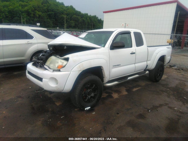 2008 TOYOTA TACOMA BASE V6 VIN: 5TEUU42N68Z513383