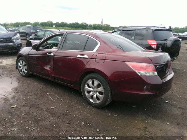 2010 HONDA ACCORD SDN EX-L VIN: 1HGCP2F88AA033861