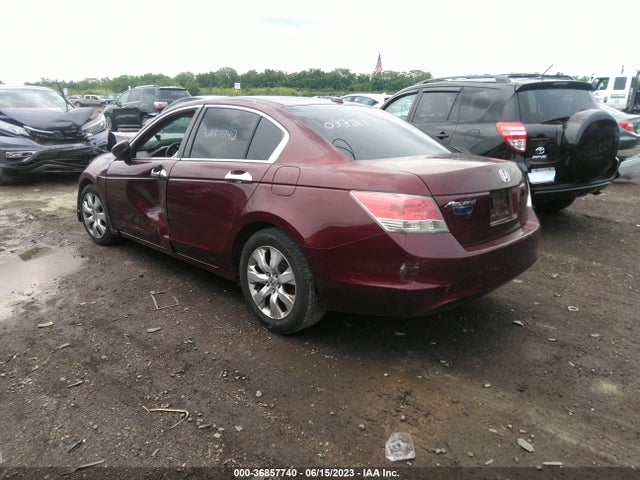 2010 HONDA ACCORD SDN EX-L VIN: 1HGCP2F88AA033861