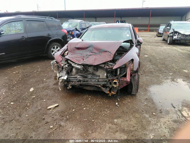 2010 HONDA ACCORD SDN EX-L VIN: 1HGCP2F88AA033861