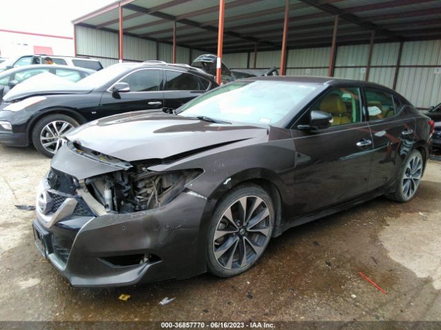 1N4AA6AP0GC442436 Nissan Maxima 3.5 Sr