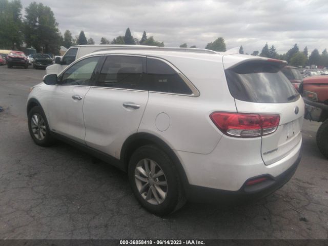 5XYPGDA30HG290448 KIA SORENTO LX