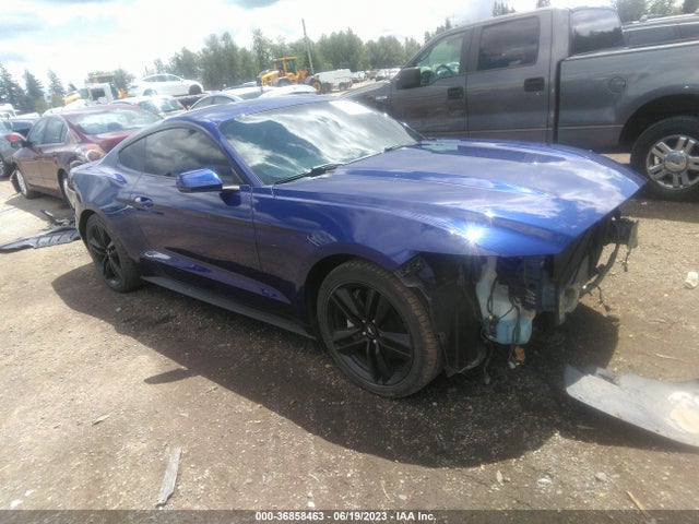 2016 1FA6P8TH7G5221703 main image