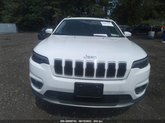 2019 JEEP CHEROKEE LIMITED VIN: 1C4PJMDX9KD280989