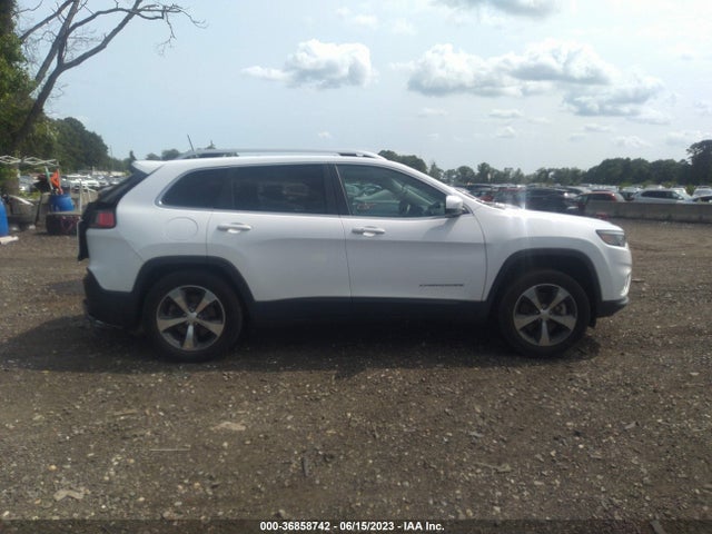2019 JEEP CHEROKEE LIMITED VIN: 1C4PJMDX9KD280989