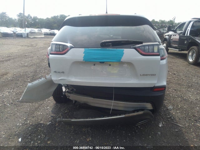 2019 JEEP CHEROKEE LIMITED VIN: 1C4PJMDX9KD280989